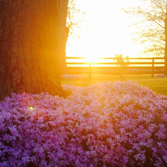 Meet your Posher, Carly - Picture 1 of 1